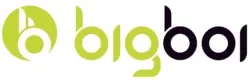 bigboi-300x156